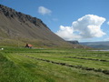 Saurbr