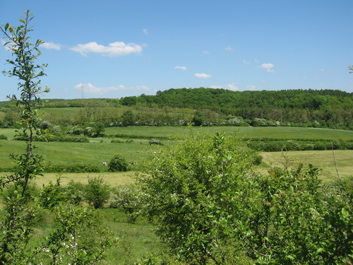 Bild 02